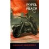 Popel a prach - Grzedowicz Jaroslaw