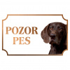 Nemecký krátkosrstý stavač - Kovová tabuľka POZOR PES