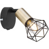Globo Lighting Xara I nástenná lampa 1x40 W čierna-mosadzná 54802S-1AB