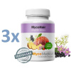 MycoMedica MycoHair 3 x 90 kapsúl