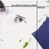 Ben Allison, THIRD EYE, CD