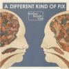 Bombay Bicycle Club - Different Kind Of Fix [CD]