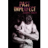 Past Imperfect - Alison G. Bailey