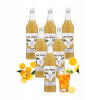 SET Chuťový sirup MONIN Cloudy Lemonade Base 6x1000 ml