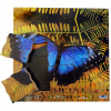 Just Jigsaws 601 Motýľ a jeho životný cyklus - drevené vrstvené puzzle 19 dielov