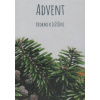 Advent - Krokmi k Ježišovi