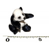 Atlas A Pandí mládě 4,5 cm