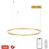 IMMAX NEO FINO NEW Smart závesné svietidlo 1 kruh, 80 cm, 60 W, zlaté, Zigbee 3.0