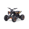 Elektrická štvorkolka FACTORYTEAM 1000W - Oranžová