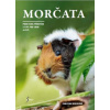 Morčata - Praktická příručka s tipy pro chov a péči