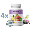 MycoMedica MycoHair 4 x 90 kapsúl