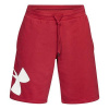 Šortky Under Armour - 2601279