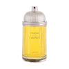 Cartier Pasha De Cartier 100 ml parfém tester pro muže