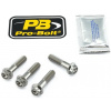 PRO-BOLT sada skrutiek brzdového strmeňa BRAKE CALIPER MOUNT KIT titanium