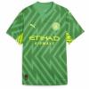 Manchester City Puma Green 243041