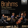 Brahms: String Sextets Op.18 & 36, transcription for Piano Trio by Theodor Kirchner (CD) (Duccio Ceccanti, Vittorio Ceccanti, Matteo Fossi)