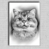 Obraz Mačka 03 Čierna 100x70 cm