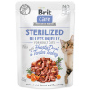 Brit Care Cat Fillets in Jelly Sterilized Hearty Duck & Tender Turkey 85 g
