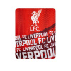 Team Fleece Blanket Liverpool One Size