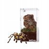 Terárium Repti-Zoo 1 l