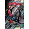 Marvel Spectacular Spider-Man 1: Arachnobatics