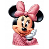 CUKROVÁ JEDLÝ OBRÁZOK NA TORTU VYTLAČENIE MYŠKA MINNIE dekorácia a5