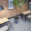 Scandi Hexa Grey UNI 8x44,25 cm - 0,86 m2 Šedá - sivá Retro 15x17,3 Scandi