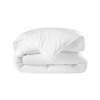 Prikrývka Hollofil® Allerban®, 400 g/m2 biela 220 Blancheporte