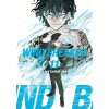 WIND BREAKER 11