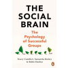 The Social Brain