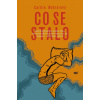 Co se stalo - Caitlin Wahrerová