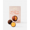 Gulliver Mango 100g