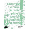 Paní les - Racek Jakub