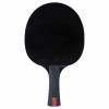 Stolová tenisová raketa Joola TT-Bat Carbon Forte (Frotki rozširuje hru Nike Swoosh dvojitá hra)