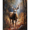 NORIMPEX Diamantové maľovanie Jeleň v lese 30x40cm