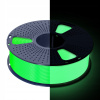 SUNLU PET-G 1.75 mm 1 kg Glow In the Dark, zelená / zelená, svietiaca