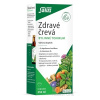 SALUS Zdravé črevá bylinné tonikum 1x250 ml SALUS Haus Dr.med.Otto Greither Nachf. GmbH & Co.