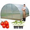 SKLENÍKOVÝ TUNNEL 3x8 S POLYKARBONÁTOM 3 MM 