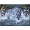 Royal Langnickel Malování podle čísel - Tři Tygři, 40x30 cm