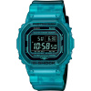 Casio DW-B5600G-2ER, Originálna distribúcia SK