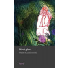 Píseň písní - Kopecká Martina Viktorie