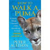 How to Walk a Puma : & other things I learned while stumbing around South America