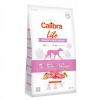 Calibra Dog Life Junior Large Breed Lamb 2,5 kg