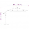 vidaXL Závesný záhradný slnečník s LED, oceľová tyč 300cm, antracitový - Antracitová - 104735-204829