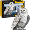 CUBICFUN 3D puzzle National Geographic: Snežná sova 62 dielikov DS1079