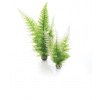 biOrb Winter Fern set zelené 29 cm