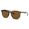 Ray-ban RB4306 710/83 - Polarizačné okuliare
