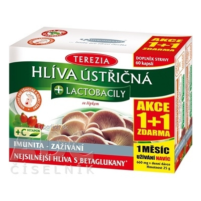 TEREZIA HLIVA USTRICOVITÁ + LAKTOBACILY so šípkami (AKCIA 1+1), cps 60+60 zadarmo (120 ks), 8594006896498