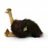 Plyšový vták emu 28 cm ECO-FRIENDLY