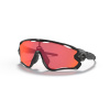 Oakley Radar EV Path Matte black/Prizm trail torch